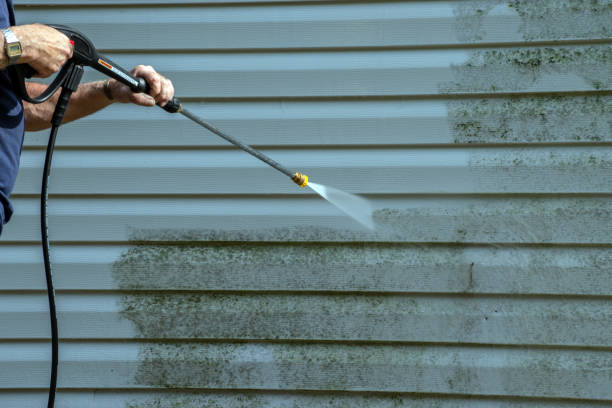 Best Local Pressure Washing Services  in Kannapolis, NC